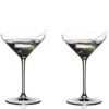 Riedel Extreme Martini Glasses (Set Of 2)